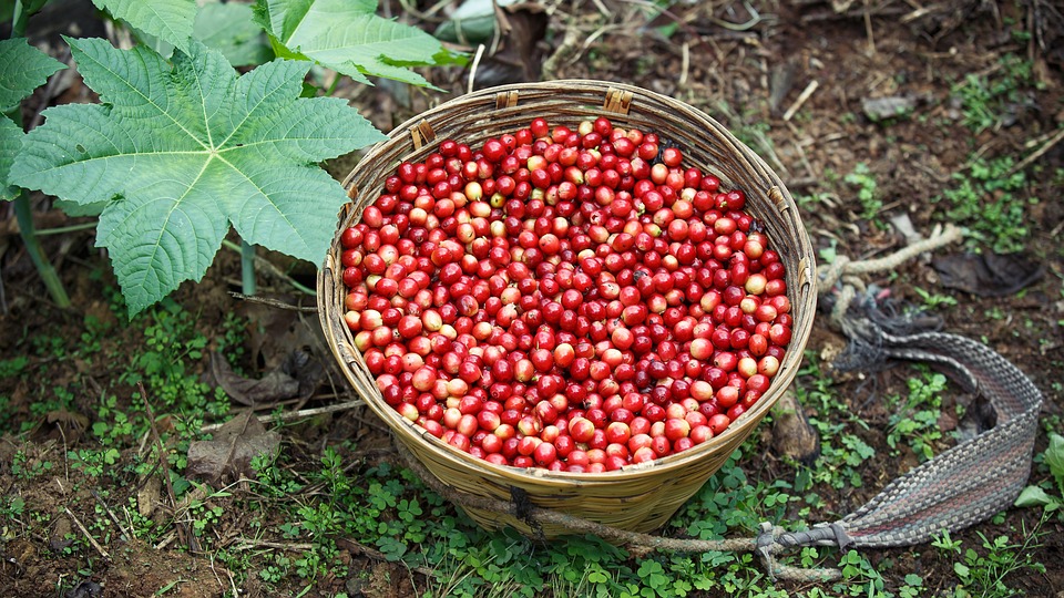 Recuo de Trump em Tarifas Pode Impulsionar Exportações Brasileiras: O Que Muda Para o Agronegócio e a Economia 2 Recuo de Trump
agronegócio